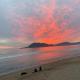 Casa de Arena, Manzanillo (photo 7)