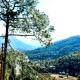 Blue Bell Cottage, Nainital - Foto 3