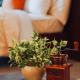 Bohemian Bliss, Manille - Photo 10