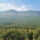 The Inchara Hill View HomeStay, Chikmagalūr - Photo 3