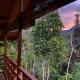 Gate to Nature - guesthouse and jungle trek, Bukit Lawang (foto 6)