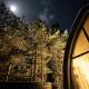 Jungle SPA bungalows, Žocene (fotografie 5)