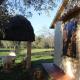 Cottage with a great fenced garden in the Tuscan countryside Cecina - Photo 1