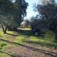 Cottage with a great fenced garden in the Tuscan countryside Cecina - Photo 6