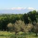 Charming 3-bedroom villa in Abruzzo with WiFi and AC, Civitella Casanova (fotografie 8)