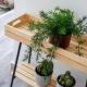 Sway - Chic 1-Bedroom Apartment & Balcony in Athens, Athen - Foto 5