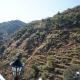 The Alchemist Homes, Birbhaddar - Foto 8