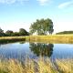 The Old Pump House, Bungay (fotografie 5)