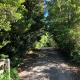 Applegarth Cottage - Whole House On 5 Acres, Robertson (photo 9)