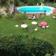 House, pool, large garden in Orville, Orville - Fotografie 1
