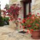 O Ilios House, Pitsidia (foto 2)