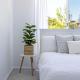 Seatown - Home away from home - Holiday Yamba, Yamba (foto 2)