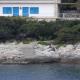 Holiday House Vis Pavic