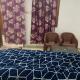 Anant shikhar home stay, Ayodhya - Foto 3