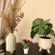 Walk to Tower Bridge, 5 Minutes to Station ,Smart TV , Free Wifi, Londýn - Fotografie 8