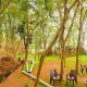 Jusgar Resort and Hote, Dogadda - Fotografie 4