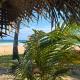 Talalla Beach Bungalows, Talalla South (fotografie 2)