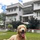 MiraNamin Nest KAMANTIGI Room in Unique Historic Home - Garden Access, Shared Kitchen, Pet Friendly with a Fee, Manila - Foto 1