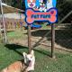 Pousada Serra das Araucárias PetFriendly - CÃOFÉ da manhã Pet, São Roque - Fotografie 6