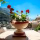 Yourhome - La Casupola, Positano (zdjęcie 8)
