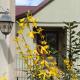 Casa Letea, ティミショアラ - 写真 1