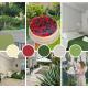 B&B Kamalei Tropea