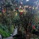 Diamond Nor Homestay, Darjeeling - Foto 5