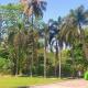 Golden Landmark Green Valley Beach Resort, Dona Paula - Foto 4