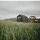 Remote Off-Grid Cabin Hidden in Nature - Hot Tub - Tibor, Oberon (foto 2)
