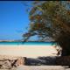 MiraMare, Lampedusa (photo 9)