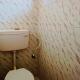 Hegde Residency 2 BR with balcony ARBICA, チクマガルール - 写真 9