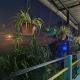 Goo Zimba Homestay, Darjeeling - Photo 6