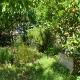 Villa Claudia - 1 minute walk to beach, Portovenere (fotografie 6)