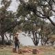 Cosy Off-Grid Cabin with Lake View Pet Friendly - Nikita, Rylstone (fotografie 3)