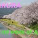 seabreezehouse 海風家, Shunan (photo 2)