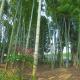 黒羽別邸旧後藤邸, Otawara (photo 5)