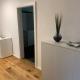 Luxury Apartements, Hohenems (fotografie 9)