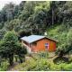 Sai Maple Eco Resort, Darjeeling, Darjeeling - Foto 3