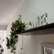 Elba Apartment