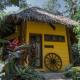 Forest Camp