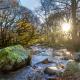 Beddgelert Cabins, Snowdonia - Forest Holidays, Beddgelert - Fotografie 4