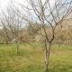 Bell tent 2, Bath - Foto 10