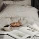 Dhome guest elite, Medan (fotografie 9)