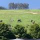 Elephant View Homestead Plettenberg Bay - Photo 3