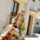 B&B Marilena Coppularossa, Carovigno (zdjęcie 8)