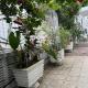 Apex guest facility, Buea (photo 7)