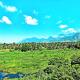Aneys River view Home stay & resort, Palakkad - Foto 9