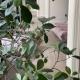 Kaiserin Sissi - City Apartment Downtown Vienna, Vienne - Photo 5