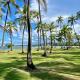 Beachfront Property in Palenque - Paradise!, Palenque - Fotografie 5