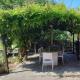 Cottage Wisteria Piemonte, Prasco (fotografie 9)